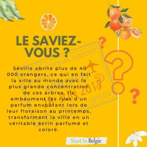 le saviez vous Séville orangers